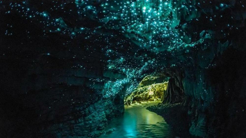 cueva luminiscente, Waitomo, Nueva Zelanda, Waitomo Glowworm Caves